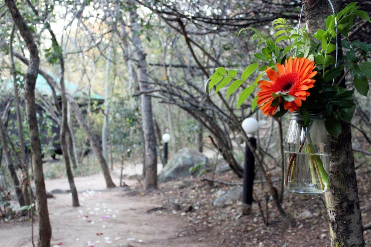 Thulamela Bed And Breakfast เฮซีวิว ภายนอก รูปภาพ